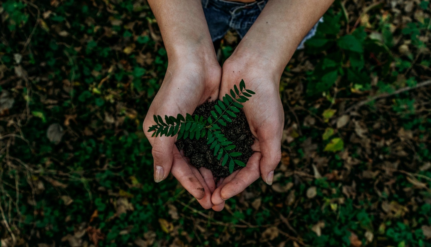 5 Key Innovations for Addressing Ecological Challenges
