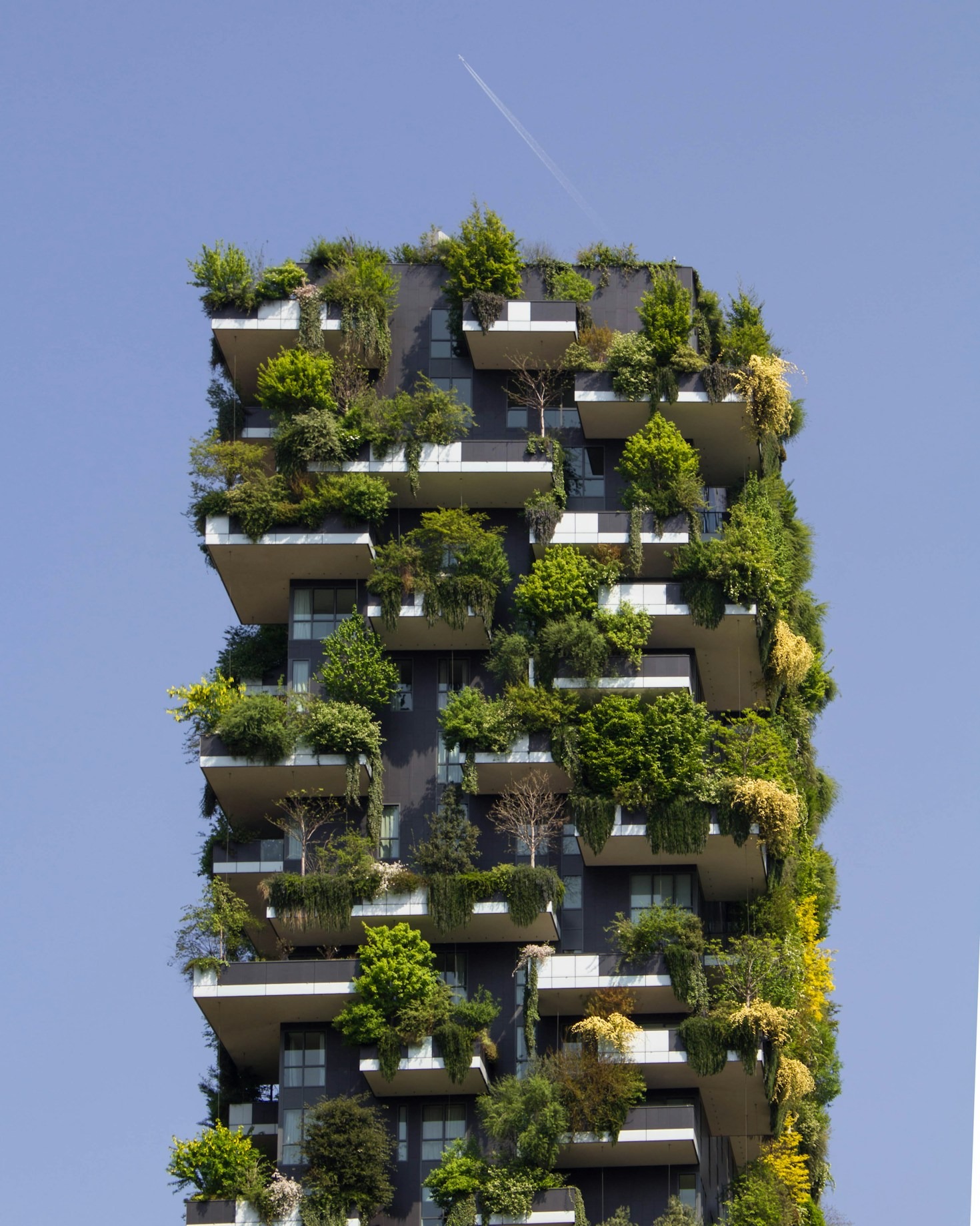 Steps to Reduce Your Environmental Footprint with Us