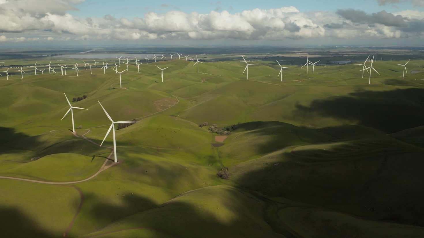 Exploring the Connection Between Business and Sustainability