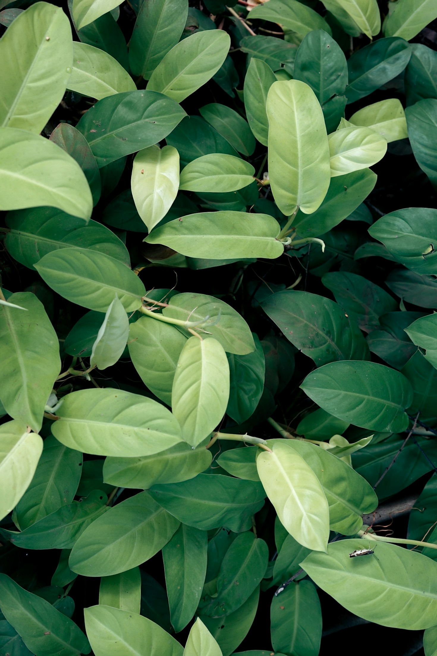 Why Sustainable Practices Matter More Than Ever
